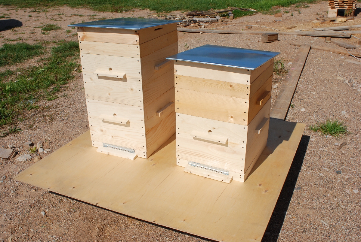 Домик пчеловода: вагончик на колесах, разборный, сарай, как сделать своими руками